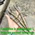 Antique Weapon Warrior Dragon Deity Scepter Wand 3head Payanak Protection #18284